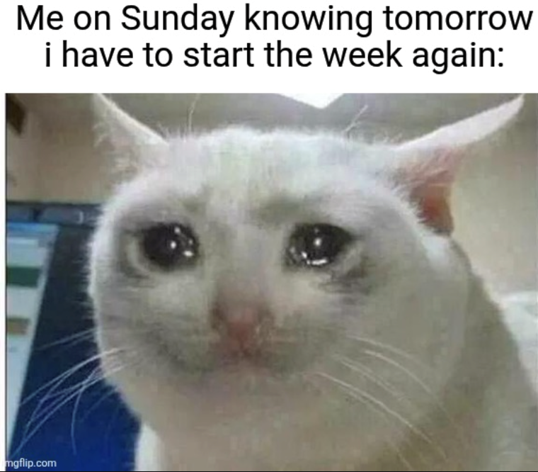 Me on Sunday knowing tomorrow i have to start the week again: mgflip.com