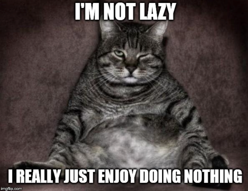 I'M NOT LAZY I REALLY JUST ENJOY DOING NOTHING imgflip.com