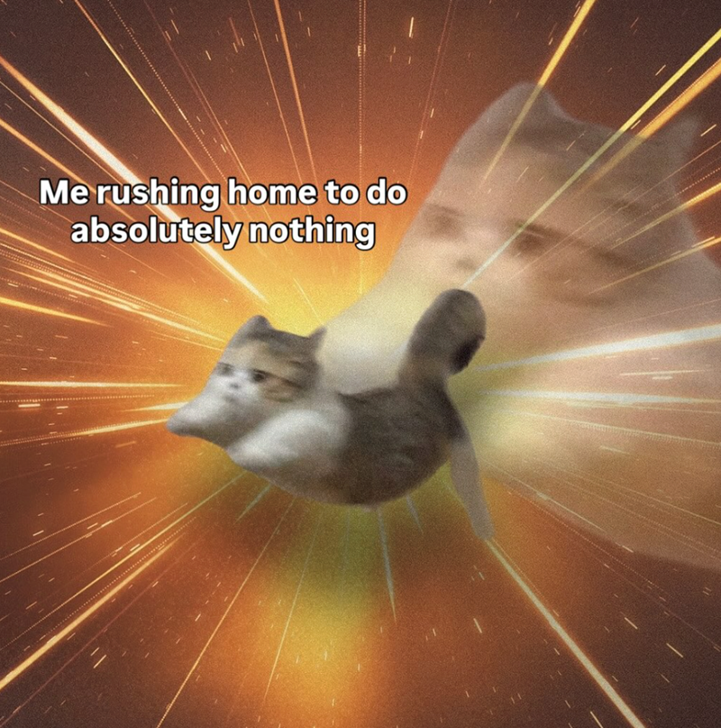 Me rushing home to do absolutely nothing