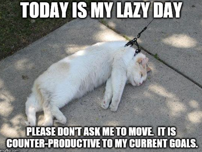 TODAY IS MY LAZY DAY PLEASE DON'T ASK ME TO MOVE IT IS COUNTER-PRODUCTIVE TO MY CURRENT GOALS. imgflip.com