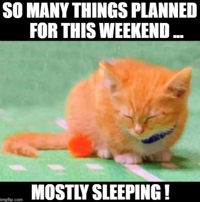 SO MANY THINGS PLANNED FOR THIS WEEKEND... MOSTLY SLEEPING! imgflip.com