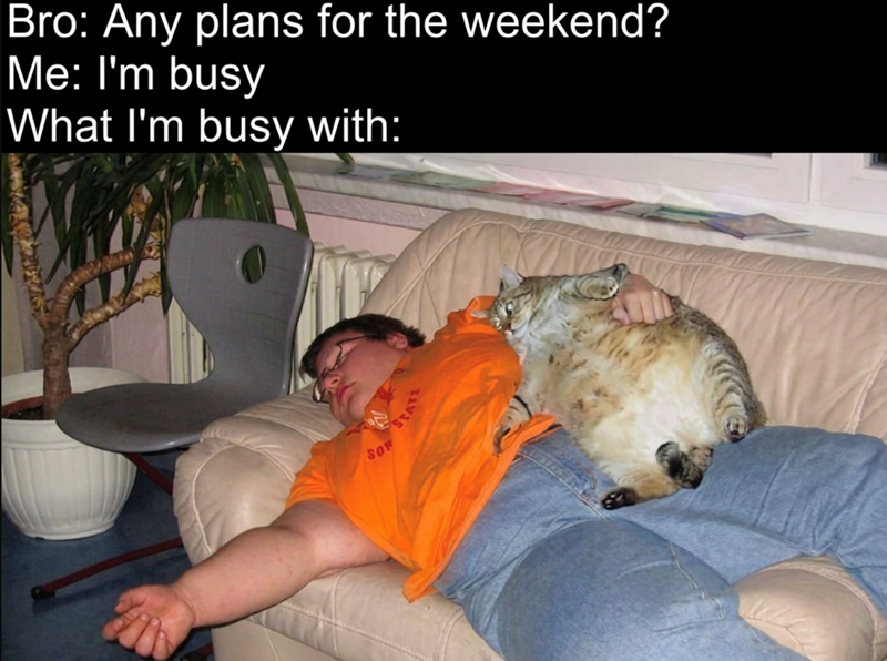 Bro: Any plans for the weekend? Me: I'm busy What I'm busy with: SOR STATE