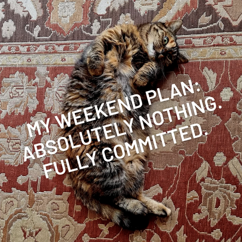 MY WEEKEND PLAN: ABSOLUTELY NOTHING. FULLY COMMITTED.