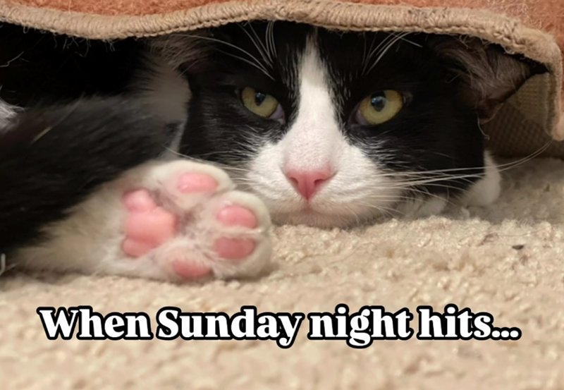 When Sunday night hits...