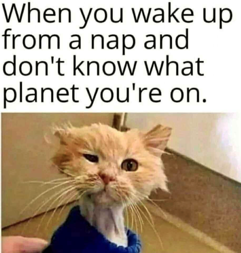 When you wake up from a nap and don't know what planet you're on.