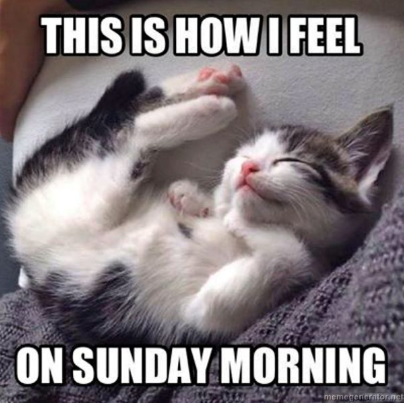 THIS IS HOW I FEEL ON SUNDAY MORNING memegenerator.net