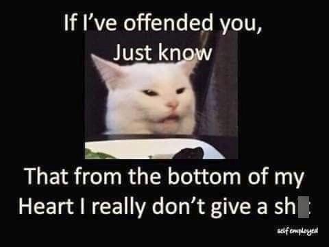 If I've offended you, Just know That from the bottom of my Heart I really don't give a sh self employed