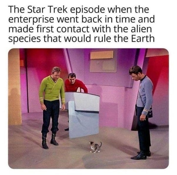 The Star Trek episode when the enterprise went back in time and made first contact with the alien species that would rule the Earth 理