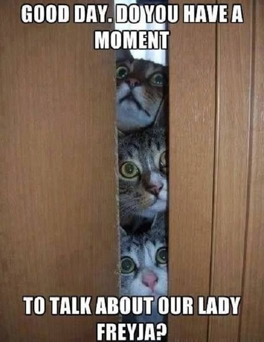 GOOD DAY. DO YOU HAVE A MOMENT TO TALK ABOUT OUR LADY FREYJA?