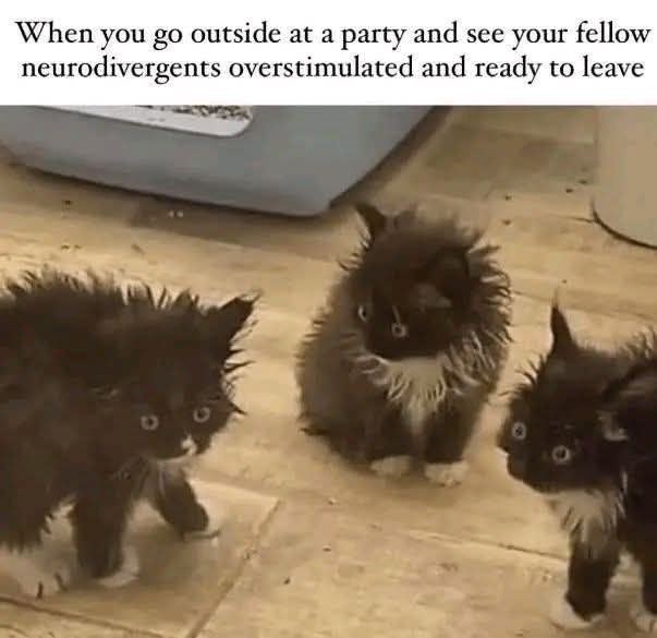 When you go outside at a party and see your fellow neurodivergents overstimulated and ready to leave