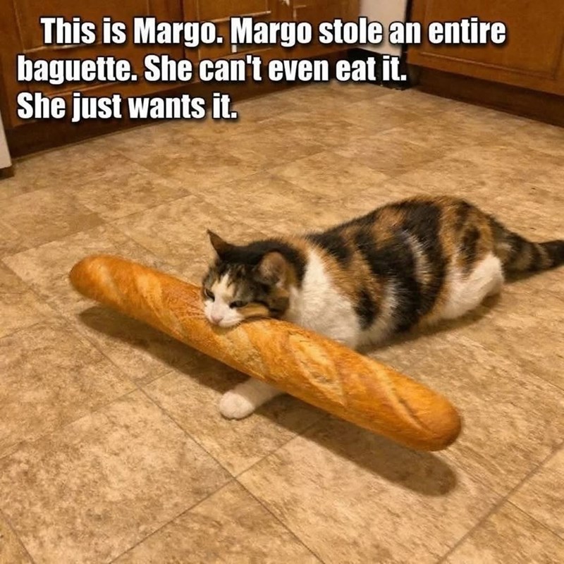 This is Margo. Margo stole an entire baguette. She can't even eat it. She just wants it.