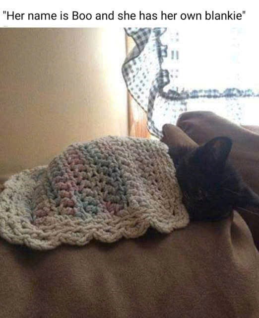 "Her name is Boo and she has her own blankie"