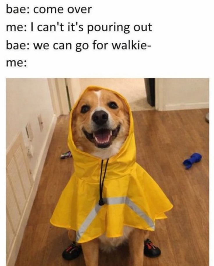 bae: come over me: I can't it's pouring out bae: we can go for walkie- me: