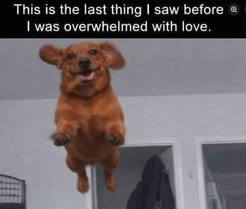 This is the last thing I saw before Q I was overwhelmed with love.