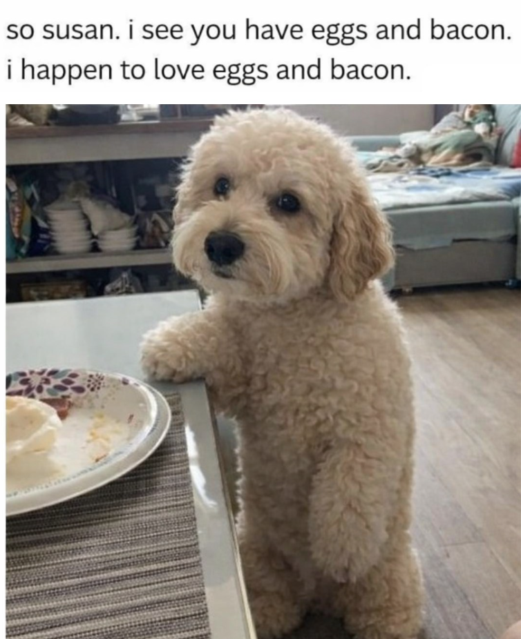 so susan. i see you have eggs and bacon. i happen to love eggs and bacon.