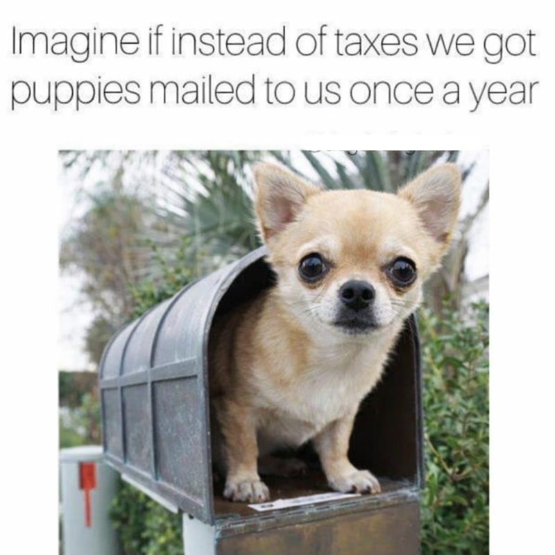 Imagine if instead of taxes we got. puppies mailed to us once a year