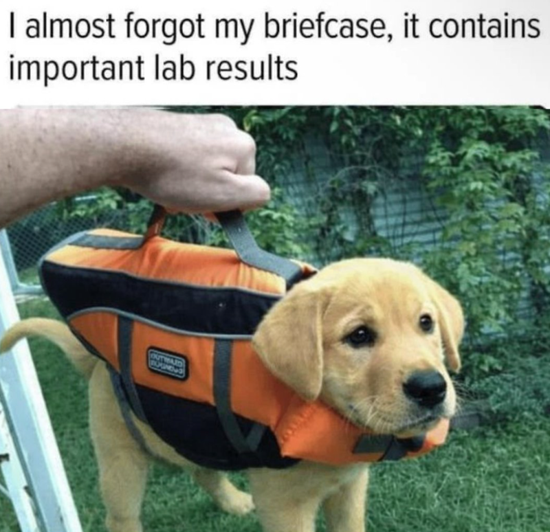 I almost forgot my briefcase, it contains important lab results OUTWARD ROUNDUS