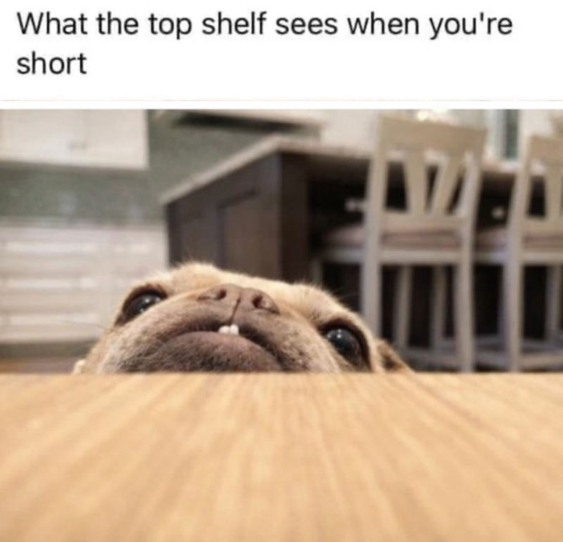 What the top shelf sees when you're short