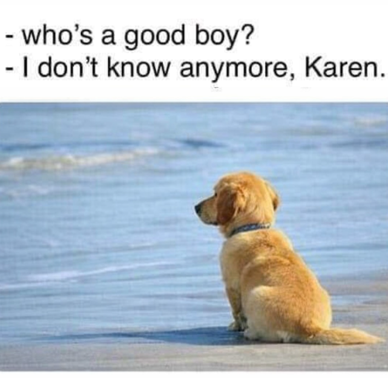 - who's a good boy? - I don't know anymore, Karen.