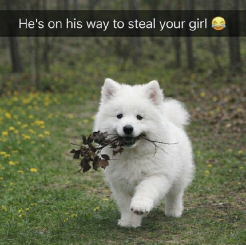 He's on his way to steal your girl