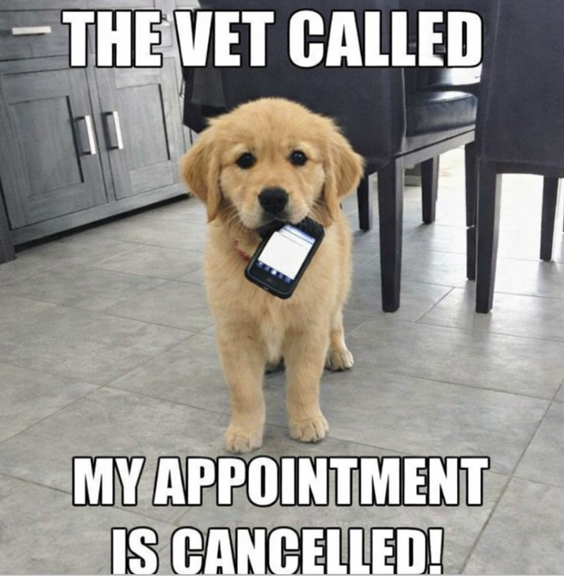 THE VET CALLED MY APPOINTMENT IS CANCELLED!