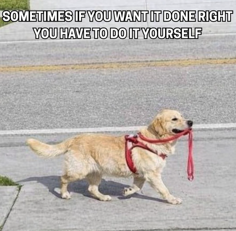 SOMETIMES IF YOU WANT IT DONE RIGHT YOU HAVE TO DO IT YOURSELF