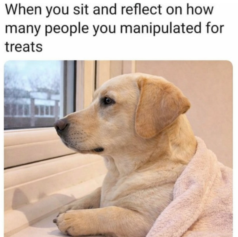 When you sit and reflect on how many people you manipulated for treats