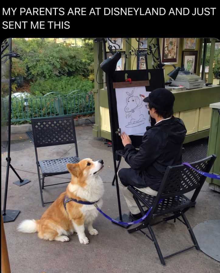 MY PARENTS ARE AT DISNEYLAND AND JUST SENT ME THIS D