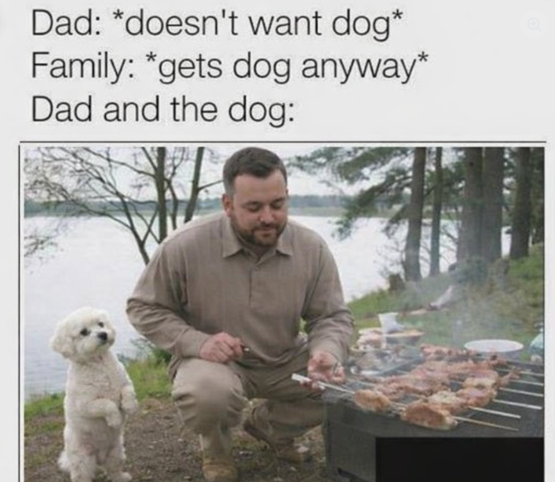 Dad: *doesn't want dog* Family: *gets dog anyway* Dad and the dog: