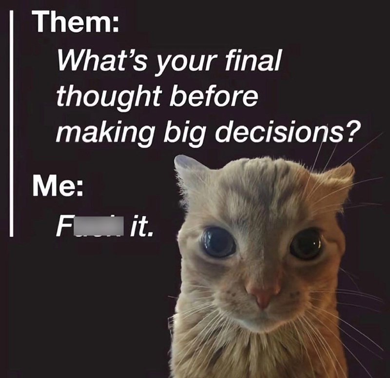 Them: What's your final thought before making big decisions? Me: Fit.