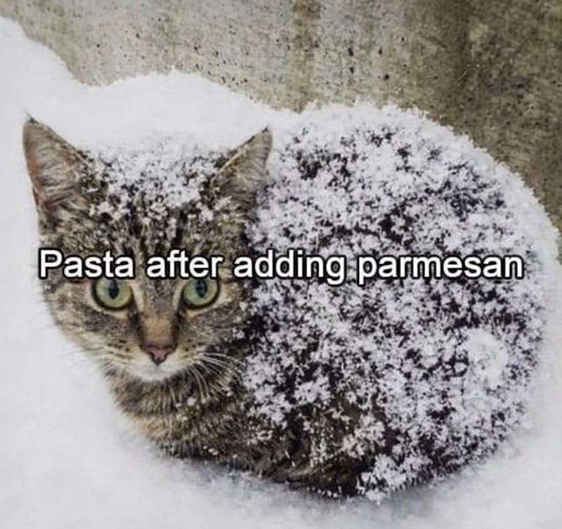 Pasta after adding parmesan