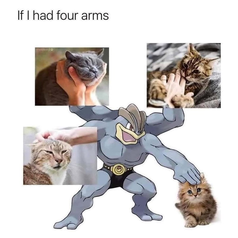 If I had four arms meowed