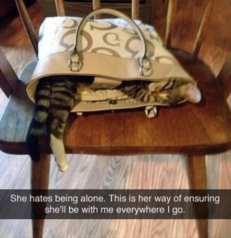 D. CH She hates being alone. This is her way of ensuring she'll be with me everywhere I go.