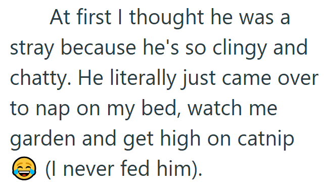 At first I thought he was a stray because he's so clingy and chatty. He literally just came over to nap on my bed, watch me garden and get high on catnip (I never fed him).
