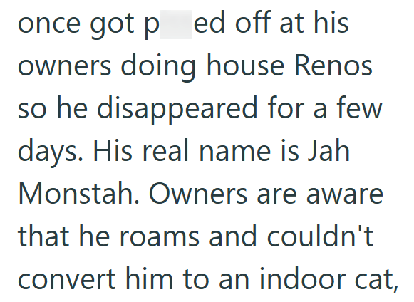 once got ped off at his owners doing house Renos so he disappeared for a few days. His real name is Jah Monstah. Owners are aware that he roams and couldn't convert him to an indoor cat,
