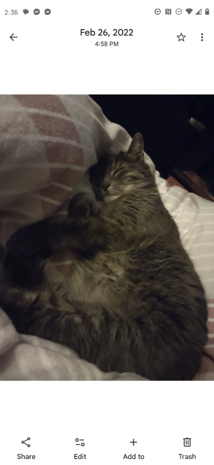 2:36 Feb 26, 2022 4:58 PM → NO ☆ % + Share Edit Add to Trash