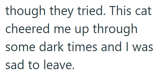 though they tried. This cat cheered me up through some dark times and I was sad to leave.