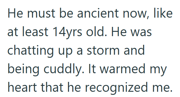 He must be ancient now, like at least 14yrs old. He was chatting up a storm and being cuddly. It warmed my heart that he recognized me.