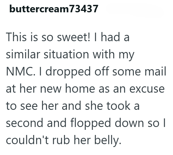 buttercream 73437 This is so sweet! I had a similar situation with my NMC. I dropped off some mail at her new home as an excuse to see her and she took a second and flopped down so I couldn't rub her belly.
