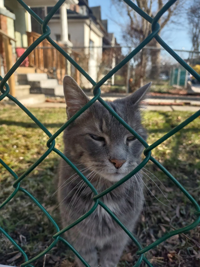 Cheezburger Image 10625427968