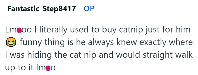 Fantastic_Step8417 OP Lmooo I literally used to buy catnip just for him ③funny thing is he always knew exactly where I was hiding the cat nip and would straight walk up to it Imoo