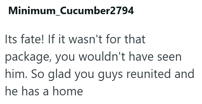 Minimum Cucumber2794 Its fate! If it wasn't for that package, you wouldn't have seen him. So glad you guys reunited and he has a home