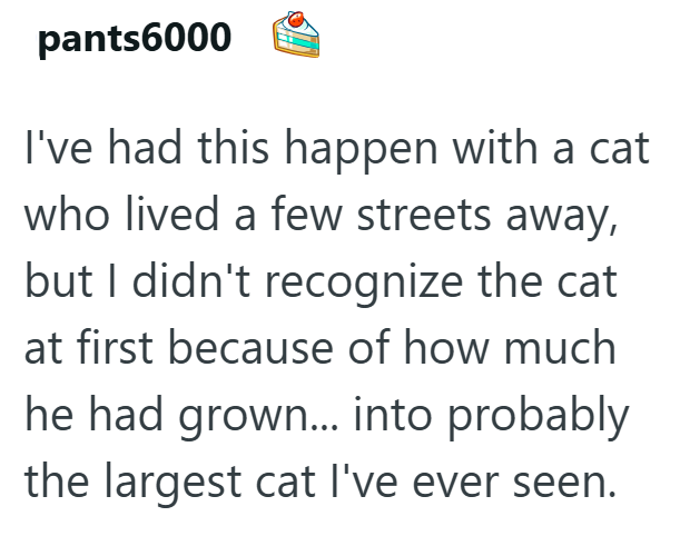 pants6000 I've had this happen with a cat who lived a few streets away, but I didn't recognize the cat at first because of how much he had grown... into probably the largest cat I've ever seen.
