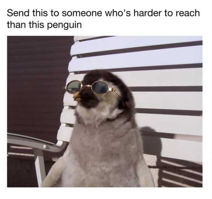 Send this to someone who's harder to reach than this penguin