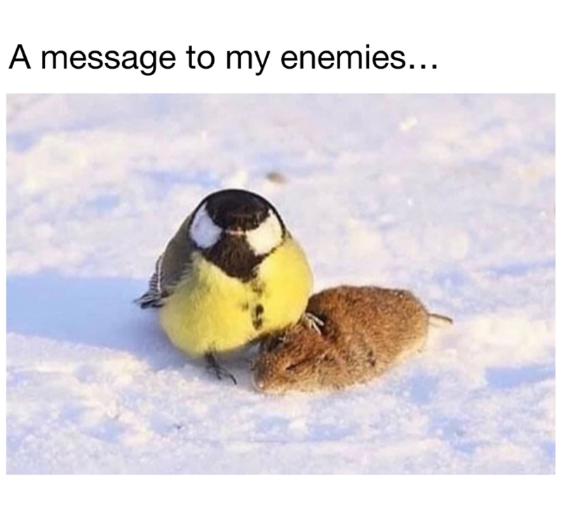 A message to my enemies...