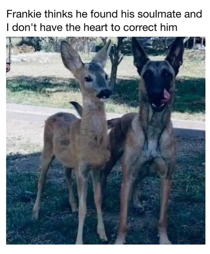 Frankie thinks he found his soulmate and I don't have the heart to correct him