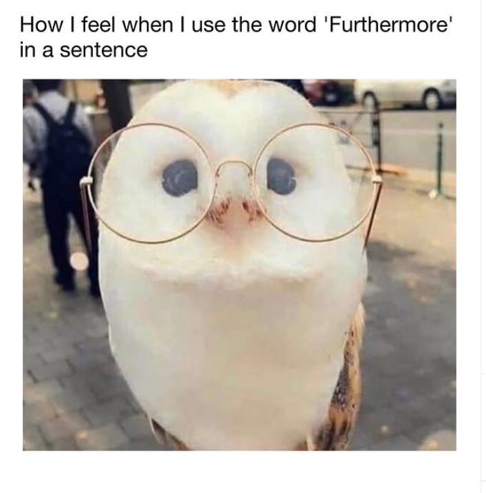 How I feel when I use the word 'Furthermore' in a sentence