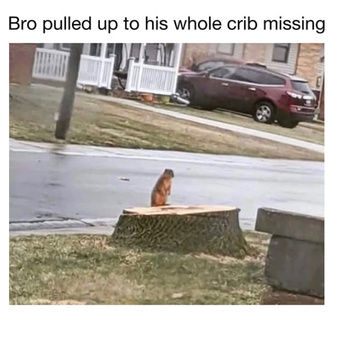 Bro pulled up to his whole crib missing.