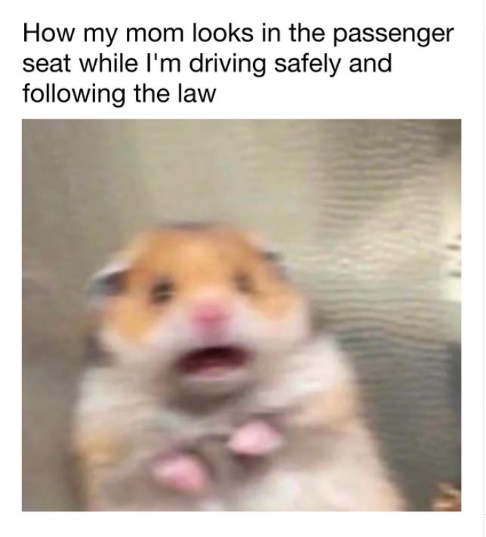 How my mom looks in the passenger seat while I'm driving safely and following the law