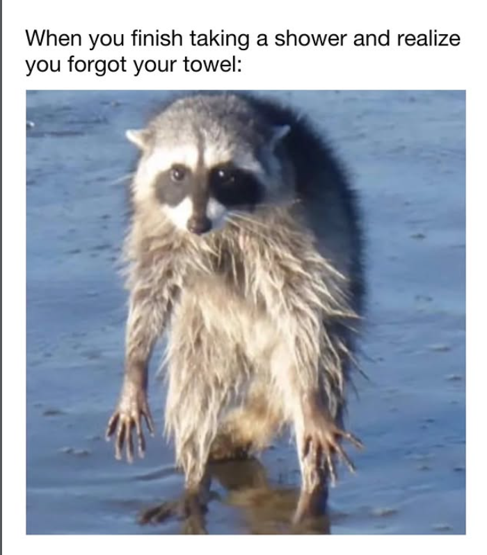 When you finish taking a shower and realize you forgot your towel: